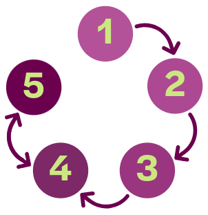 5E cycle representation